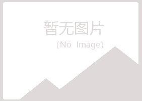 鹤岗南山映之服务有限公司